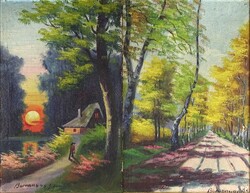 1Z089 Ismeretlen jelzéssel : Erdei utak - képpár