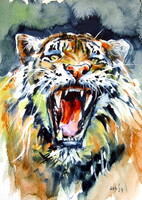 Angry tiger - watercolor painting / Mérges tigris - akvarell festmény