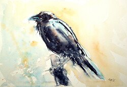 Crow-  watercolor painting -Varjú  - akvarell festmény