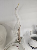 Aquinkum daru madár