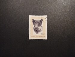 Magyarország - Trófeák 1966