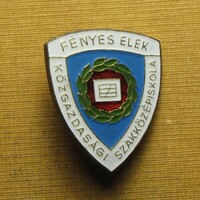 Fényes Elek Közgazdasági Szakközépiskola iskolajelvény