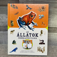 Az Állatok Csodálatos Világa; Könyv és játék egyben: Készíts színes állatkertet!