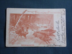 Képeslap,művészet,grafikai,állatok,Vadon élő vaddisznók egy téli erdőben, 1899-