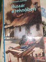 Mikszáth Kálmán: Huszár a teknőben (6)