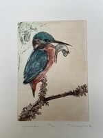 Kiss Péter : Jégmadár