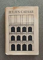 Iulius Caesar: Feljegyzések a gall háborúról és a polgárháborúról. Számozott példány!