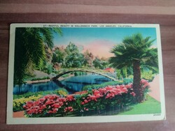 Régi képeslap, Amerika, Kalifornia, South Gate, Pálmafa, 1943