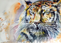 Tiger -  watercolor painting -Tigris  - akvarell festmény