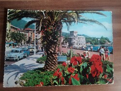 Régi képeslap, Olaszország,Rapallo, Pálmafa,  1963