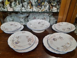 Alt Wien Pirkenhammer 1873-1918,Kézi Festett Virág Mintás 8 Személyes Porcelán Süteményes Készlet.