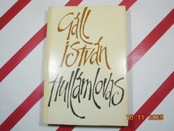 Gáll István - Hullámlovas
