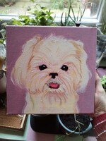 Akrill festmény - Máltai kutyus