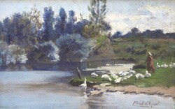 (N) Nádler Róbert (1858-1938) : Libapásztorlány