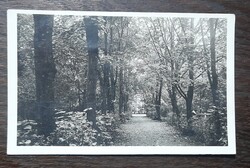 1954 Kondoros Ligeti részlet