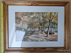 Gazdag József - Pillangó park festmény