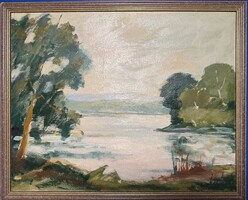 Aggod Istvan- Kis Balaton olajfestmeny