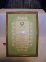 "OKLEVÉL" 1979 Országos Búzatermelési Versenyben - Tótkomlós, Viharsarok M.G.T.Sz."