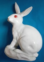Herendi fehér , pirosszemű nyúl , nagyméretű
