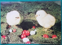 Húsvéti üdvözlet - kiscsirkék, tojás -  írott képeslap, 1979