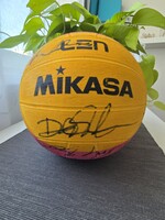 Dedikált vízilabda – 2017-es világbajnokság, magyar férfi válogatott