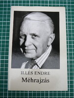 Illés Endre - Méhrajzás