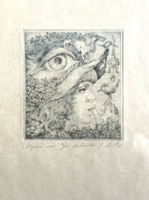 Kolozsvári Grandpierre Miklós: Vigyázó szem rézkarc metszet