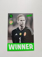 Panini futballkártya: Gulácsi Péter