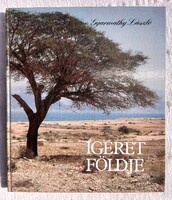 GYARMATHY LÁSZLÓ: ÍGÉRET FÖLDJE (3)