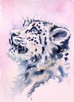 Kovács Anna Brigitta:Snow leopard cub II-  watercolor painting - Hópárduc kölyök - akvarell festmény