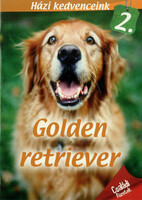 Farkas Márta: Golden retriever
