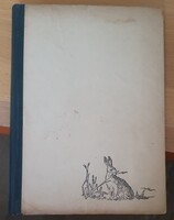 Tizenöt nyulacska  Szerző: Felix Salten 1943