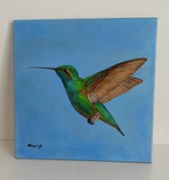 Kolibri madár akril festmèny