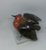Herendi porcelán trópusi madár!