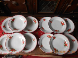Zsolnay mikulásvirág mintás tányér készlet