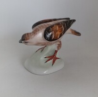 Aquincum porcelán Sas ragadozó madár!