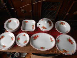 Zsolnay mikulásvirág mintás étkészlet