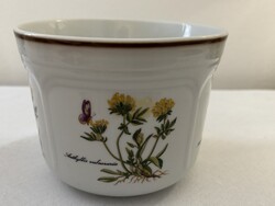 Botanica patterned porcelain flower pot