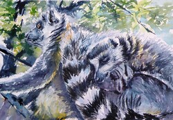 Ring tailed lemur -  watercolor painting - Gyűrűsfarkú maki-  akvarell festmény