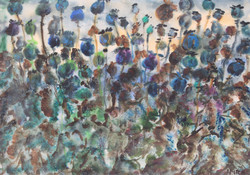 Imre István: Poppy Flowers