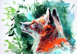 Kovács Anna Brigitta:Red fox III -  watercolor painting - Róka III - akvarell festmény