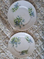 Szecessziós stílusú Victoria porcelán tányér szett (2 db) – virágmintás, mázhibás,