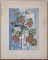 - Hegyi György  : Virágcsendélet