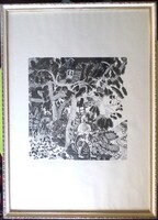 Berki Viola: A nagy hegyi tolvaj balladája (Nagyméretű!)