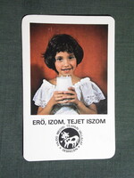 Kártyanaptár,Debrecen tejipari vállalat,gyerek modell,tej,1980  (licites)