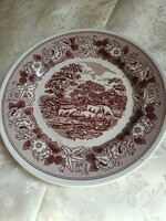 Jelentés lapos tányér