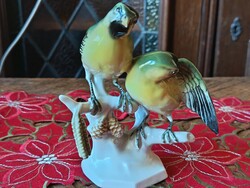 Ens Volkstedt madár pár