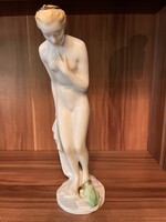 Herendi Békakirály