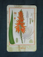 Kártyanaptár,Mérleg gyógyszertár,patika,Pécs,Aloé virág,2008  (3)