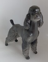 Hollóházi porcelán uszkár kutya "RITKA"!